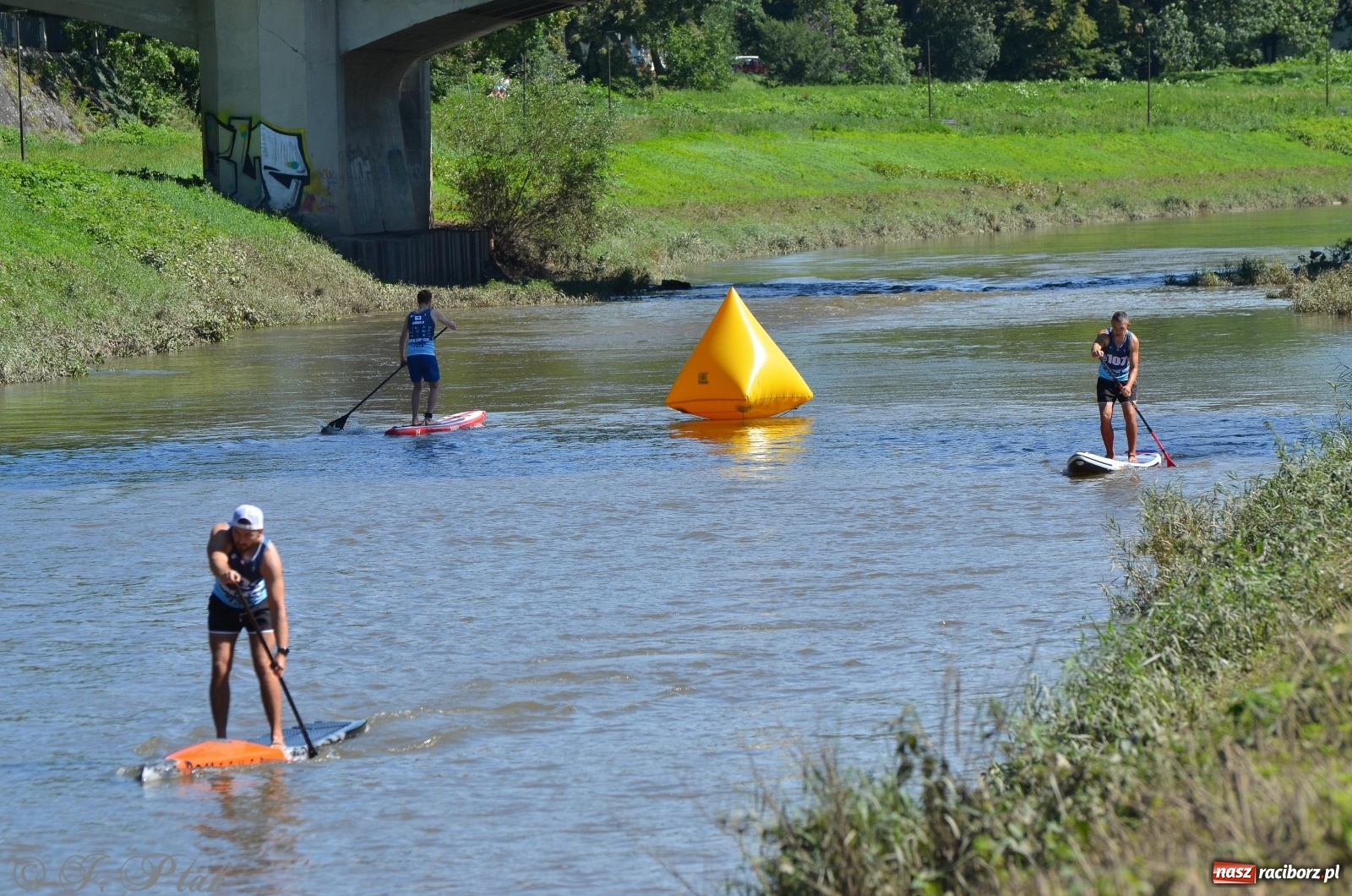 Zdjęcie w galerii na portalu naszraciborz.pl: ODRA SUP CUP - regaty na desce w Raciborzu  wiadomości z regionu