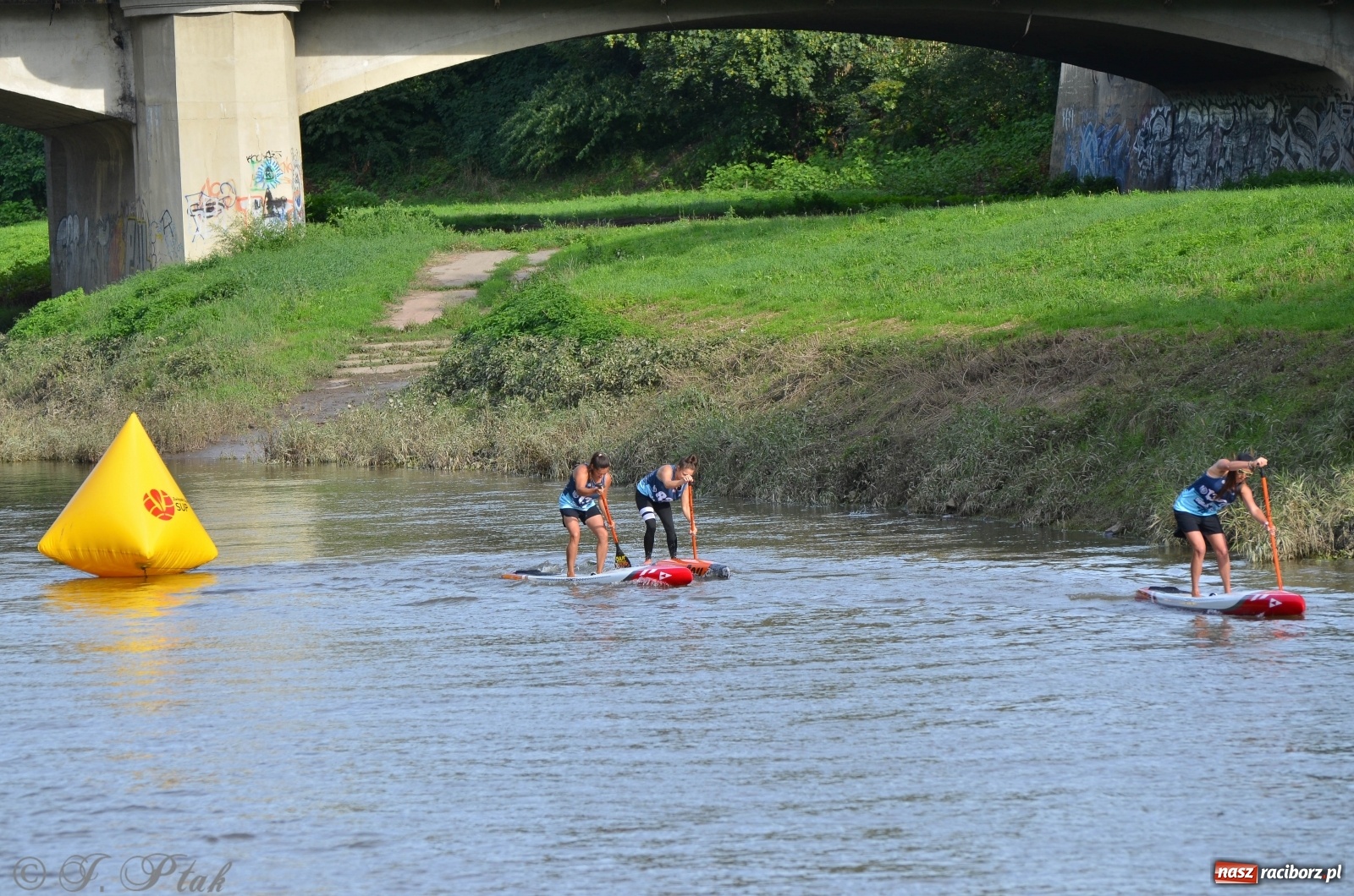 Zdjęcie w galerii na portalu naszraciborz.pl: Raciborzanie na podium ODRA SUP CUP  wiadomości z regionu