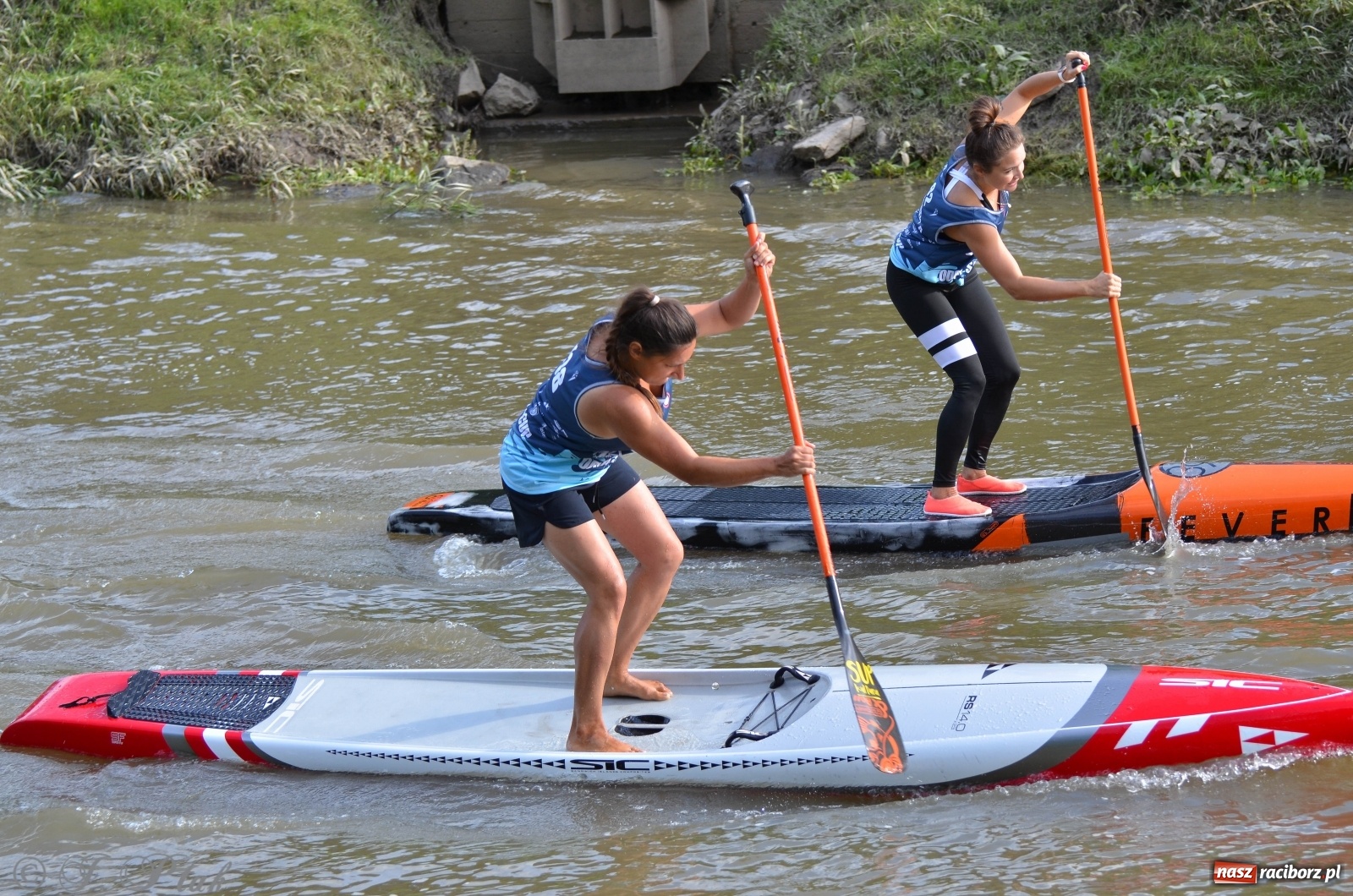 Zdjęcie w galerii na portalu naszraciborz.pl: Raciborzanie na podium ODRA SUP CUP  wiadomości z regionu