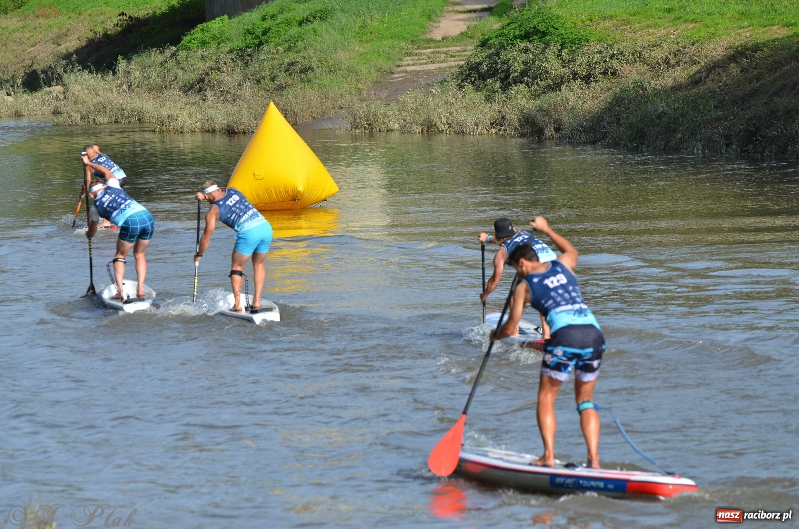 Zdjęcie w galerii na portalu naszraciborz.pl: Raciborzanie na podium ODRA SUP CUP  wiadomości z regionu