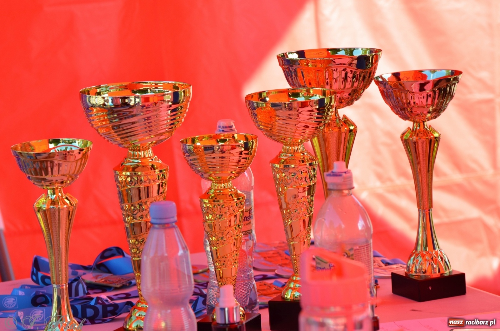 Zdjęcie w galerii na portalu naszraciborz.pl: Raciborzanie na podium ODRA SUP CUP  wiadomości z regionu