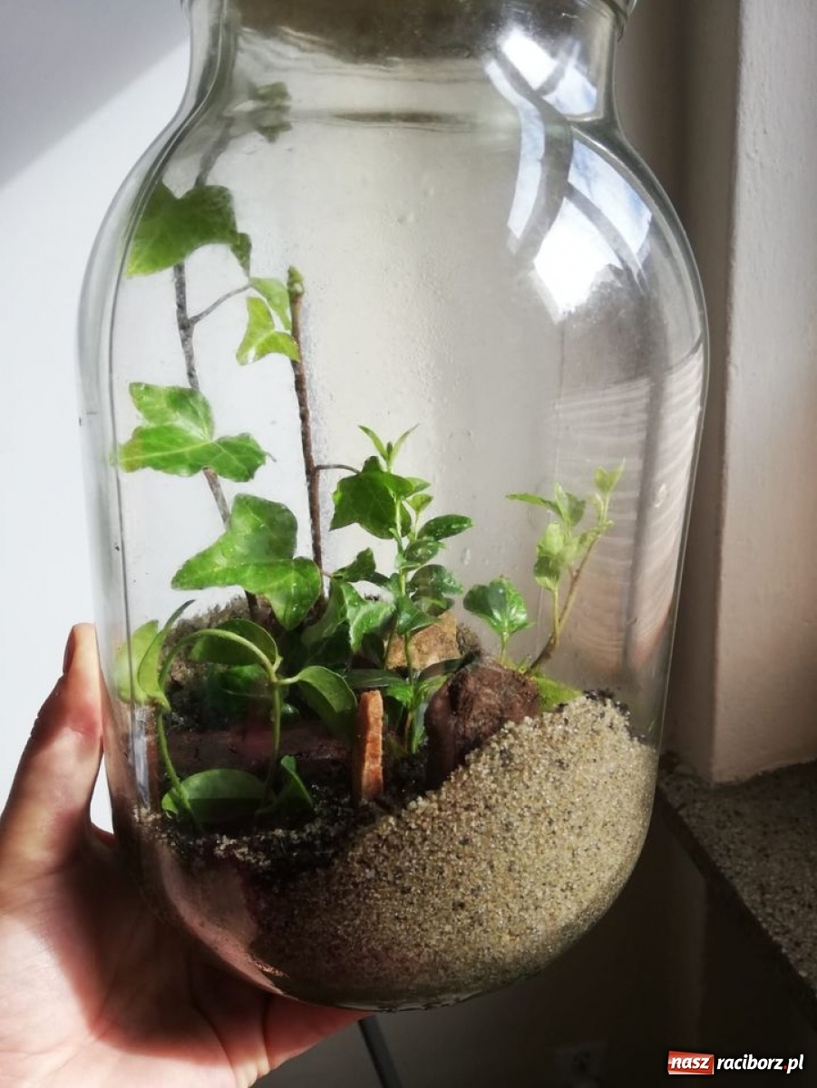 Zdjęcie w galerii na portalu naszraciborz.pl: Krzanowicki MOK podsumował wakacje 2020 [FOTO] wiadomości z regionu