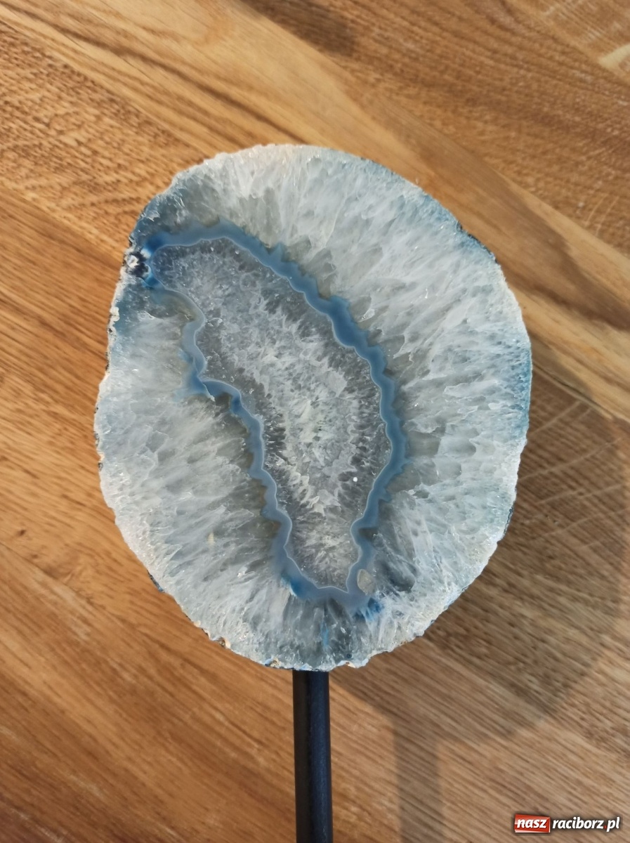 Zdjęcie w galerii na portalu naszraciborz.pl: Zapomniane skarby ziemi. Prelekcja na zamku wiadomości z regionu