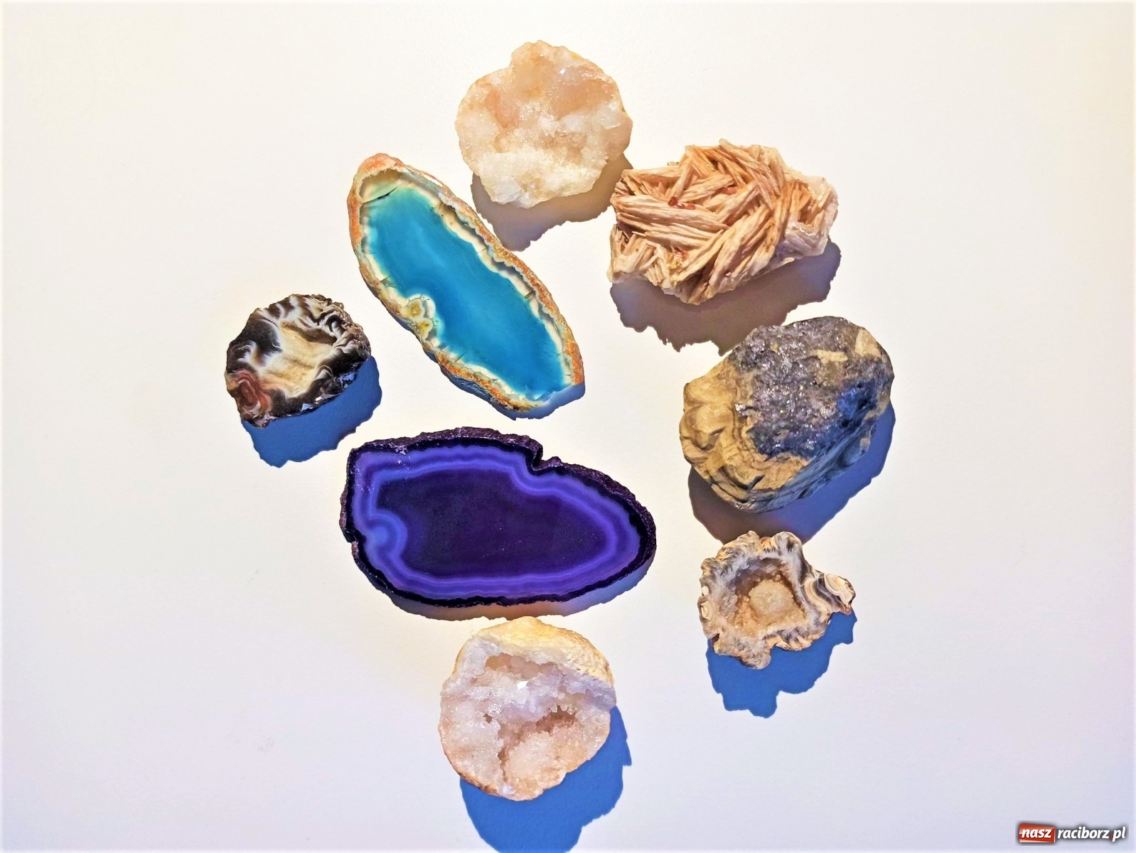 Zdjęcie w galerii na portalu naszraciborz.pl: Zapomniane skarby ziemi. Prelekcja na zamku wiadomości z regionu