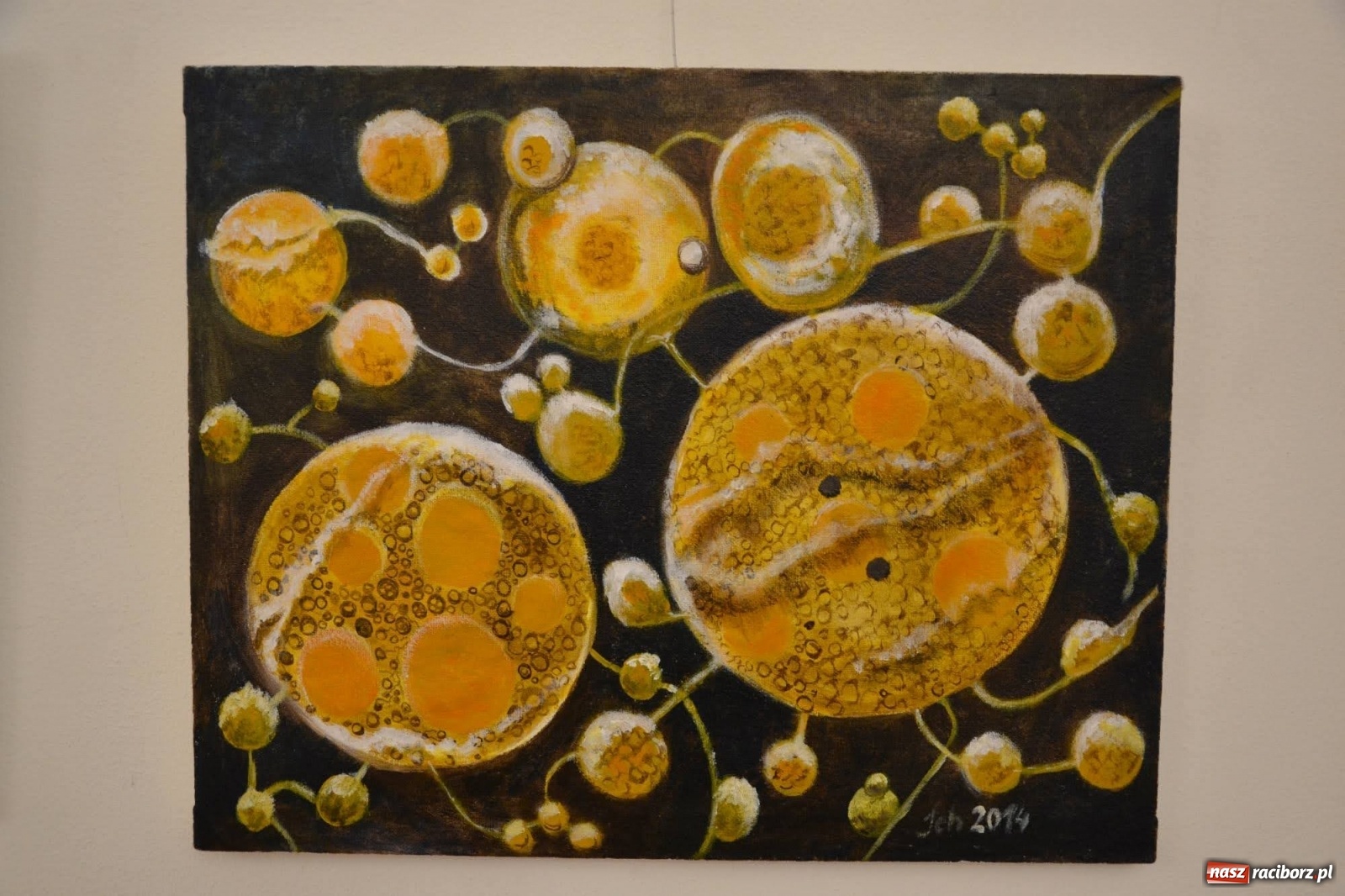 Zdjęcie w galerii na portalu naszraciborz.pl: Zamkowy wernisaż wystawy prac Janiny Chrapacz-Koloski  wiadomości z regionu