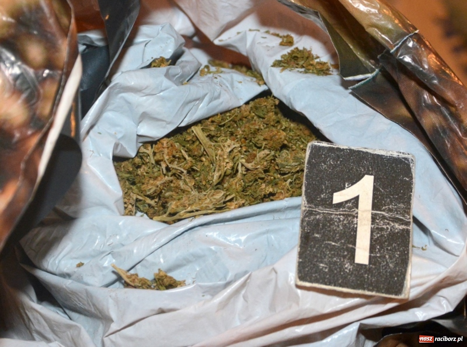 Zdjęcie w galerii na portalu naszraciborz.pl: Narkotyki za ponad 330 tys. złotych wyeliminowane z rynku wiadomości z regionu