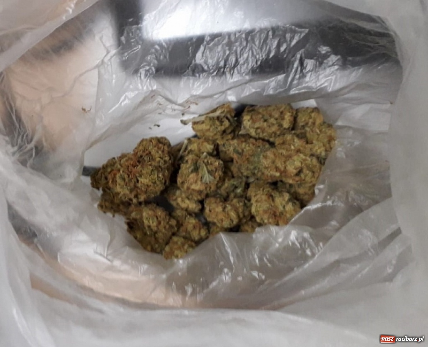 Zdjęcie w galerii na portalu naszraciborz.pl: Narkotyki za ponad 330 tys. złotych wyeliminowane z rynku wiadomości z regionu