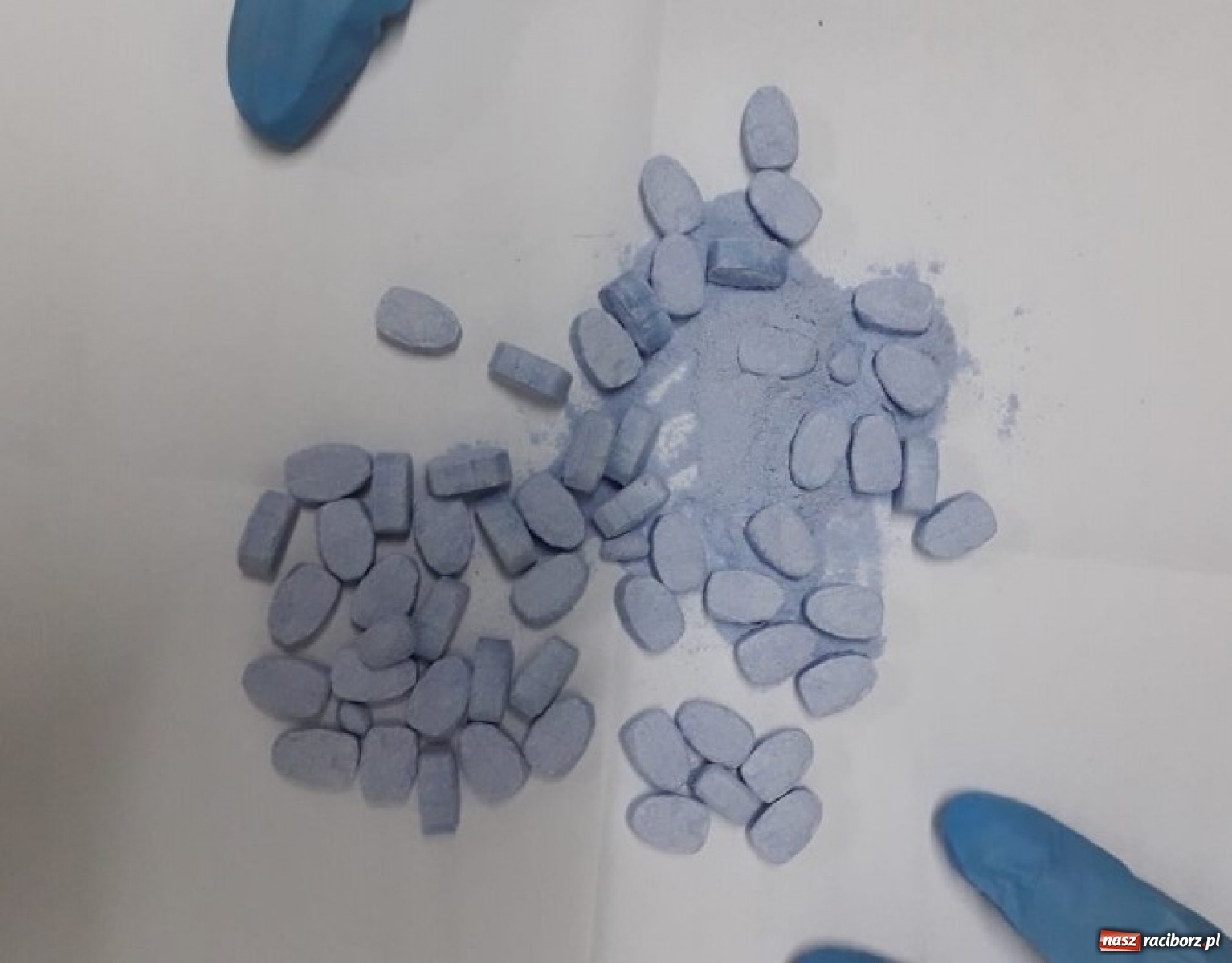 Zdjęcie w galerii na portalu naszraciborz.pl: Narkotyki za ponad 330 tys. złotych wyeliminowane z rynku wiadomości z regionu