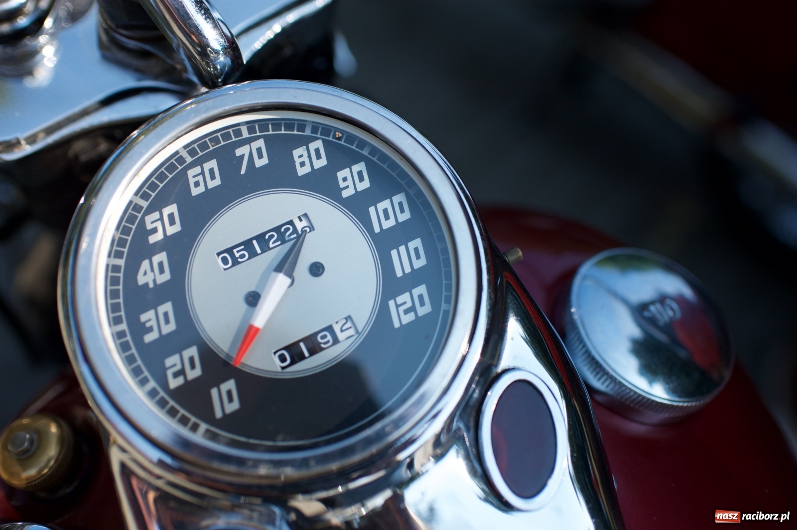 Zdjęcie w galerii na portalu naszraciborz.pl: Rajd Pruski dotarł do zamku w Tworkowie  wiadomości z regionu