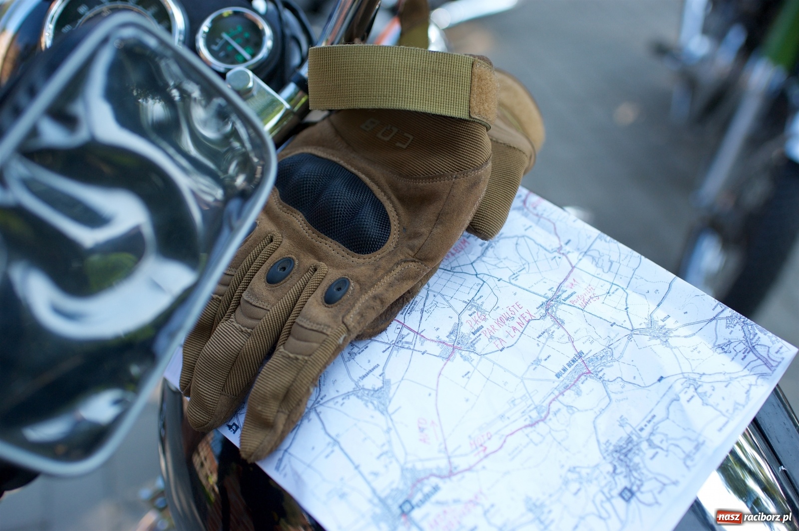 Zdjęcie w galerii na portalu naszraciborz.pl: Rajd Pruski dotarł do zamku w Tworkowie  wiadomości z regionu