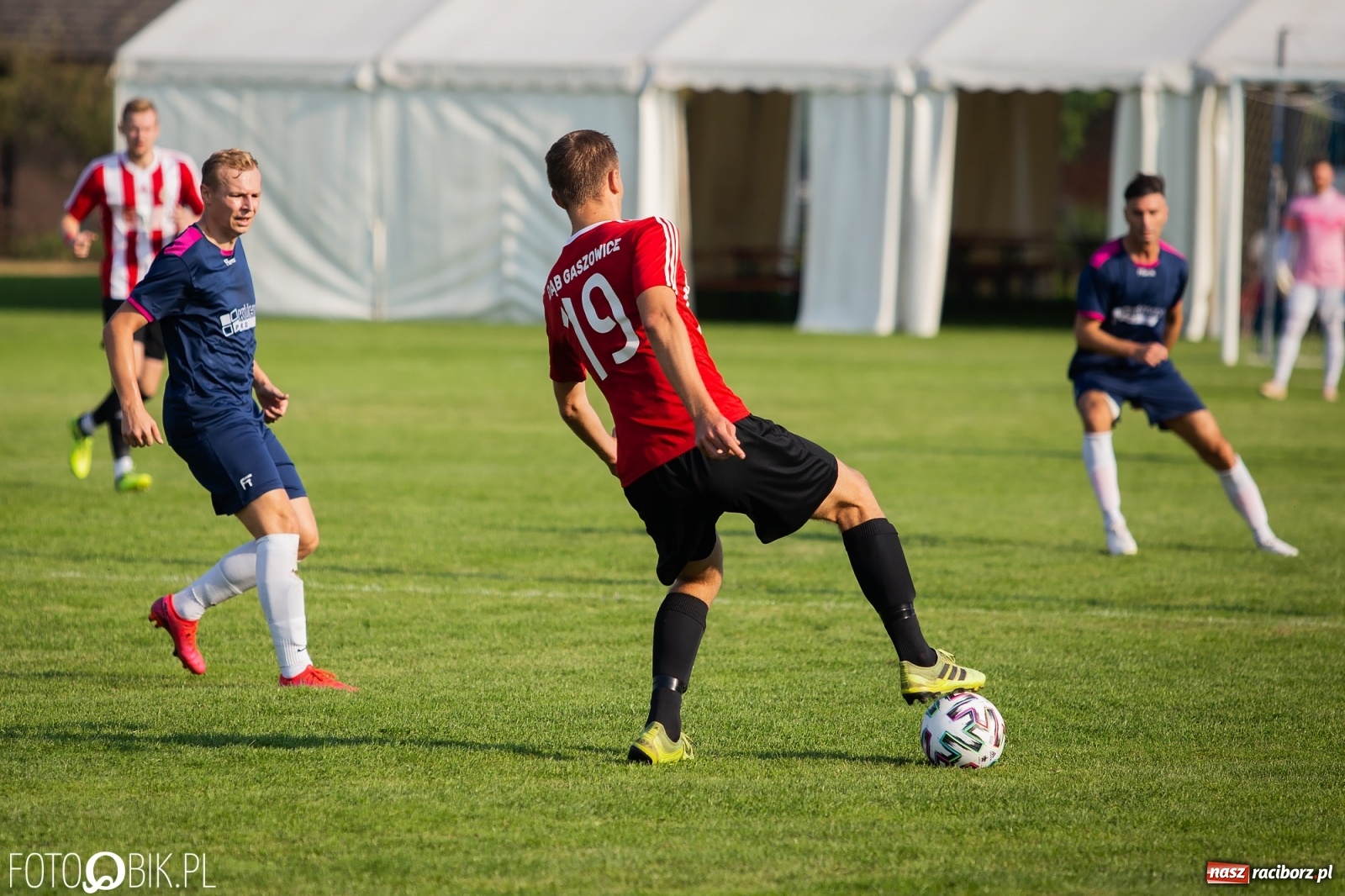 Zdjęcie w galerii na portalu naszraciborz.pl: Gaszowicki Dąb ścięty w Krzyżanowicach [FOTO] wiadomości z regionu