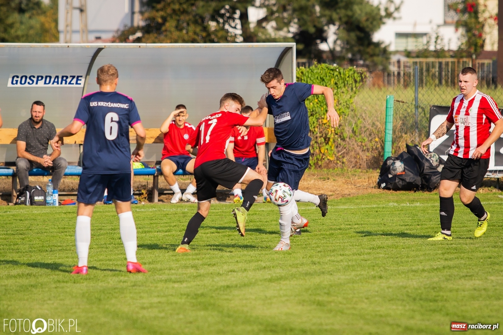 Zdjęcie w galerii na portalu naszraciborz.pl: Gaszowicki Dąb ścięty w Krzyżanowicach [FOTO] wiadomości z regionu