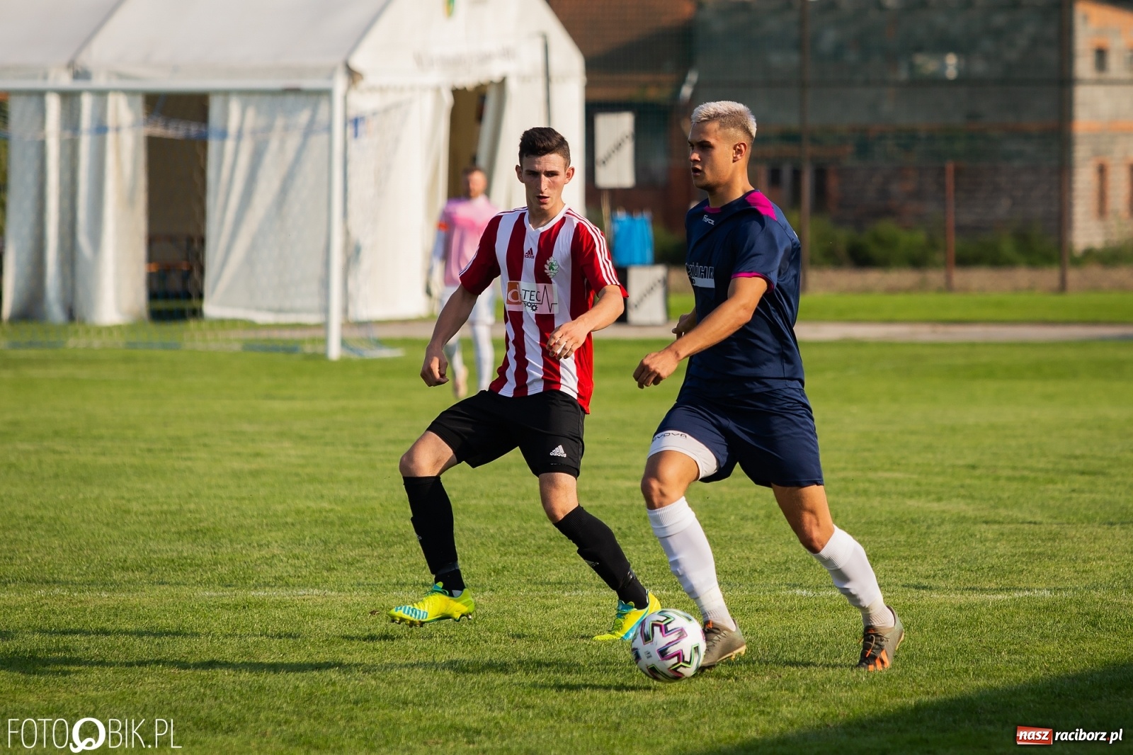 Zdjęcie w galerii na portalu naszraciborz.pl: Gaszowicki Dąb ścięty w Krzyżanowicach [FOTO] wiadomości z regionu