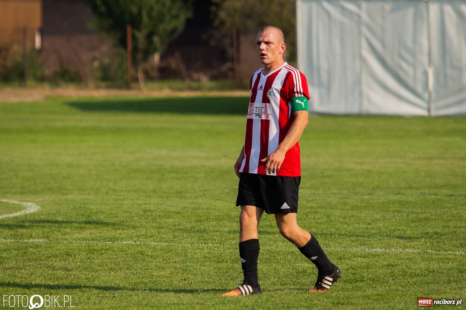 Zdjęcie w galerii na portalu naszraciborz.pl: Gaszowicki Dąb ścięty w Krzyżanowicach [FOTO] wiadomości z regionu
