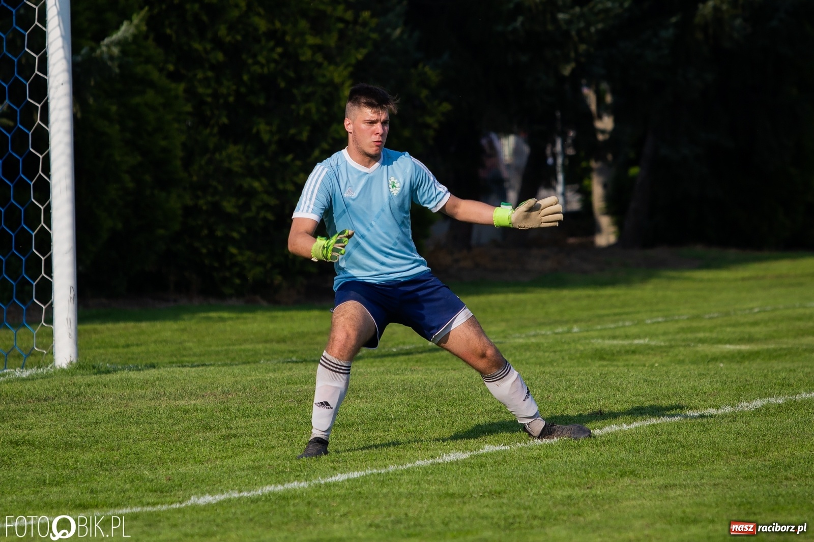 Zdjęcie w galerii na portalu naszraciborz.pl: Gaszowicki Dąb ścięty w Krzyżanowicach [FOTO] wiadomości z regionu