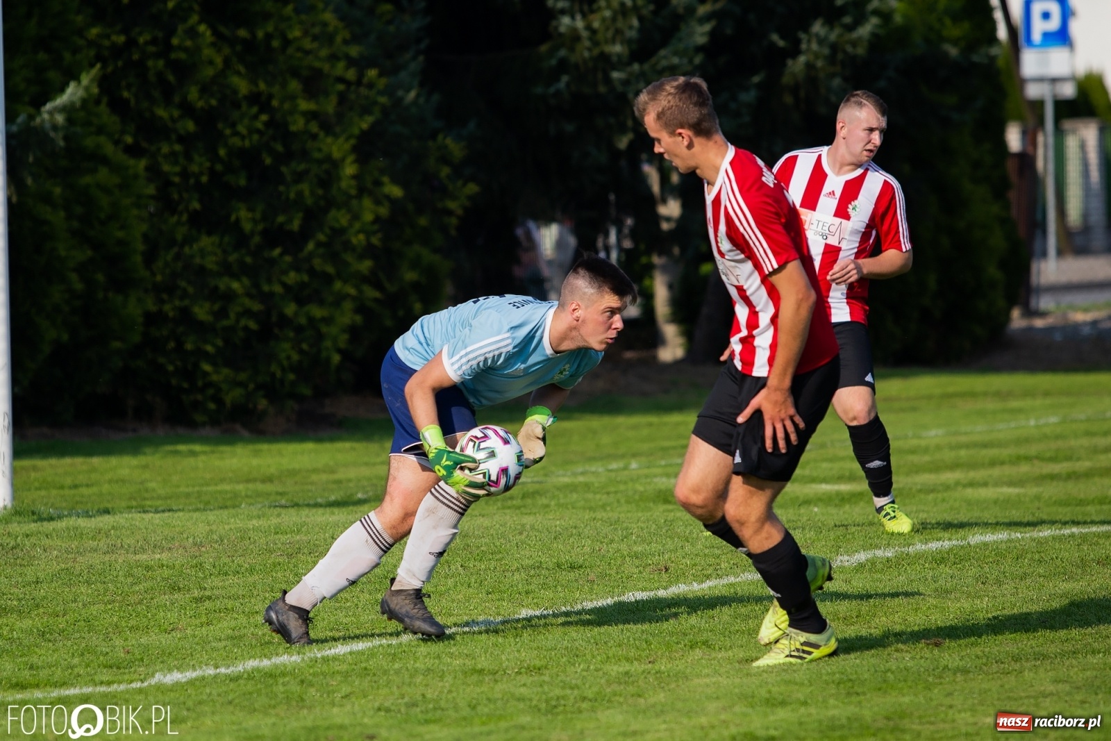 Zdjęcie w galerii na portalu naszraciborz.pl: Gaszowicki Dąb ścięty w Krzyżanowicach [FOTO] wiadomości z regionu