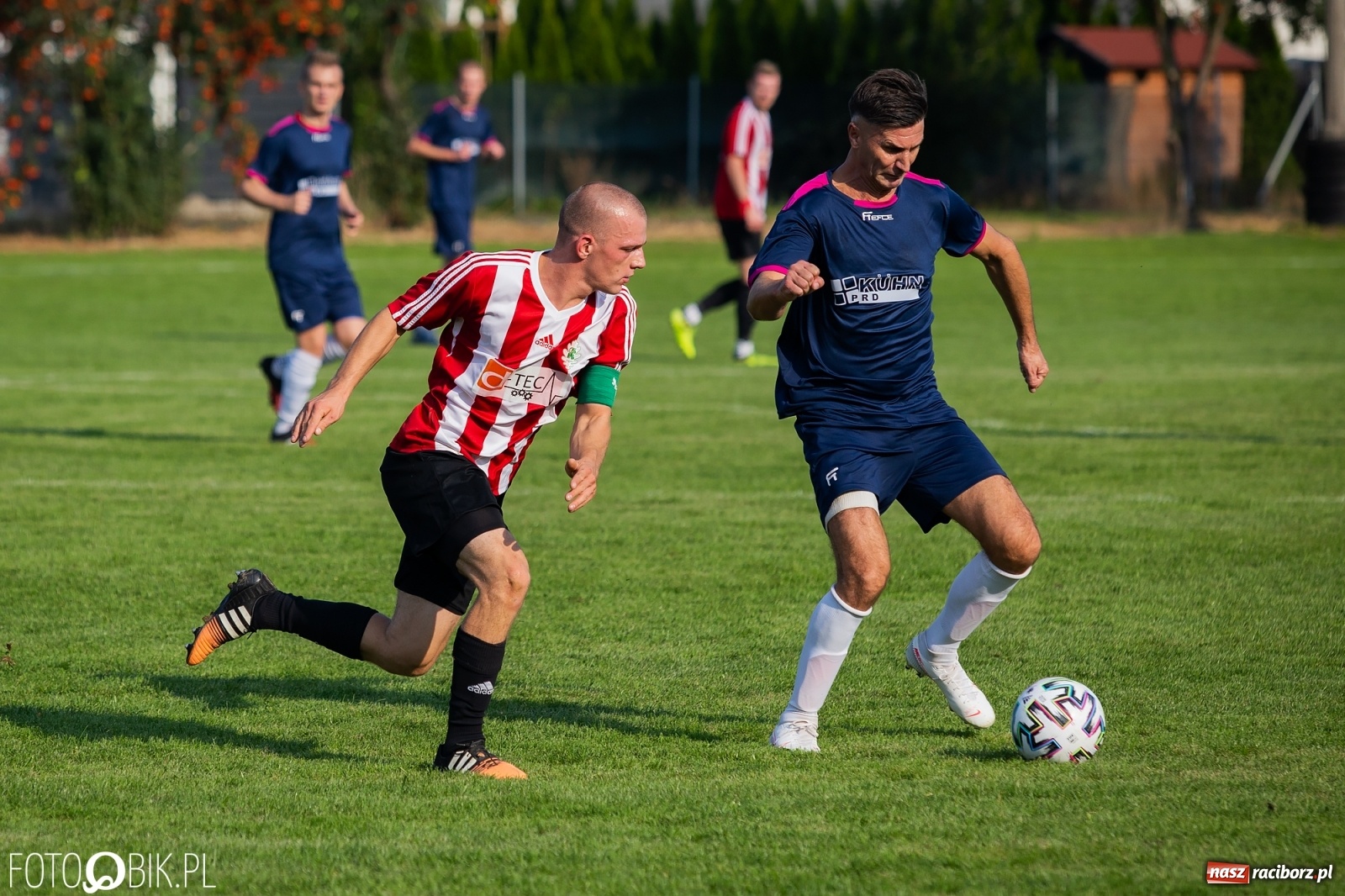 Zdjęcie w galerii na portalu naszraciborz.pl: Gaszowicki Dąb ścięty w Krzyżanowicach [FOTO] wiadomości z regionu