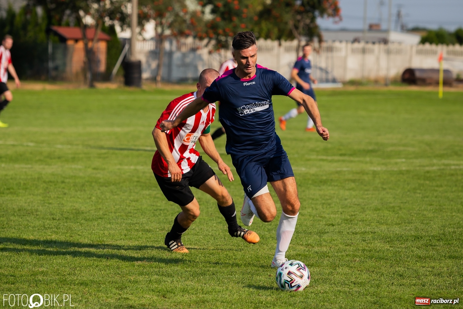 Zdjęcie w galerii na portalu naszraciborz.pl: Gaszowicki Dąb ścięty w Krzyżanowicach [FOTO] wiadomości z regionu