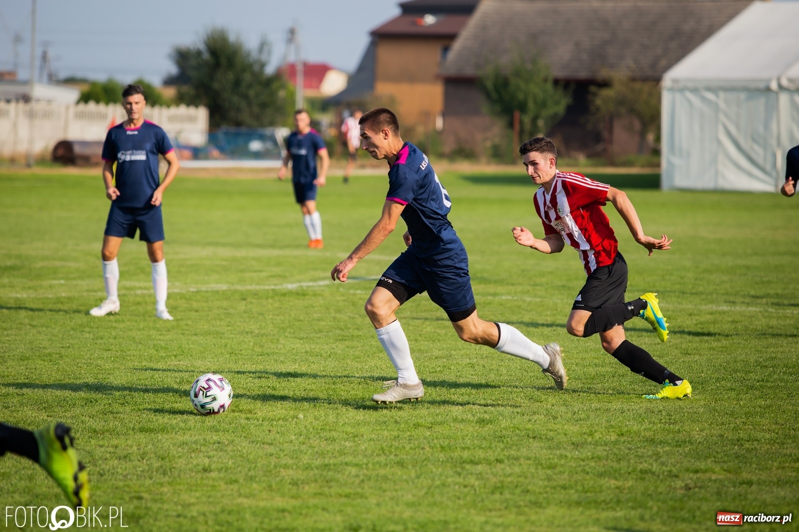 Zdjęcie w galerii na portalu naszraciborz.pl: Gaszowicki Dąb ścięty w Krzyżanowicach [FOTO] wiadomości z regionu