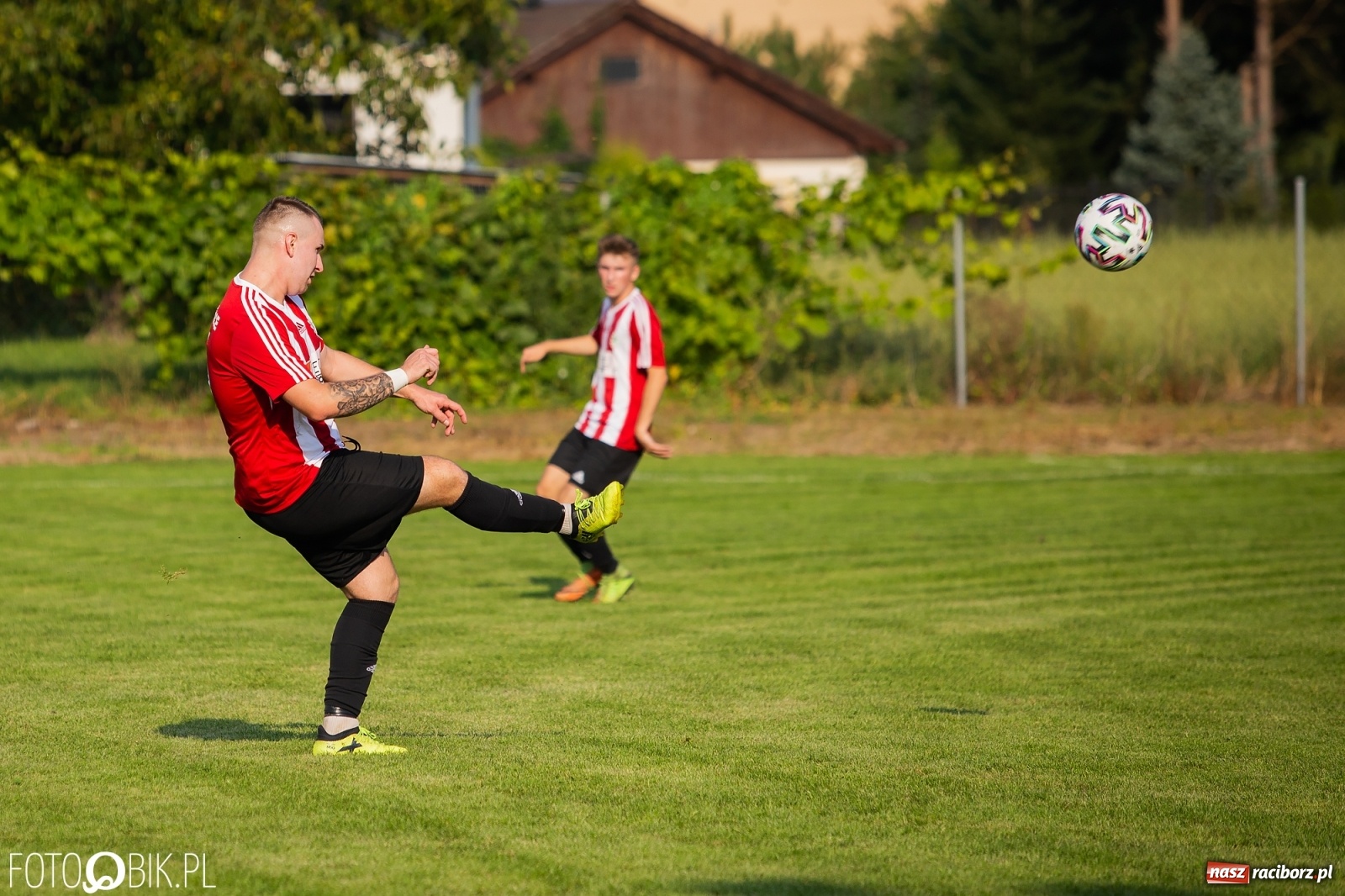 Zdjęcie w galerii na portalu naszraciborz.pl: Gaszowicki Dąb ścięty w Krzyżanowicach [FOTO] wiadomości z regionu
