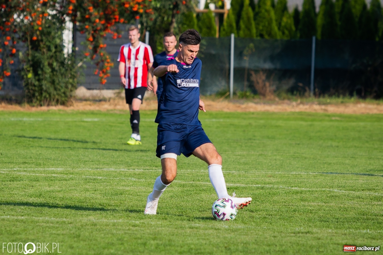 Zdjęcie w galerii na portalu naszraciborz.pl: Gaszowicki Dąb ścięty w Krzyżanowicach [FOTO] wiadomości z regionu