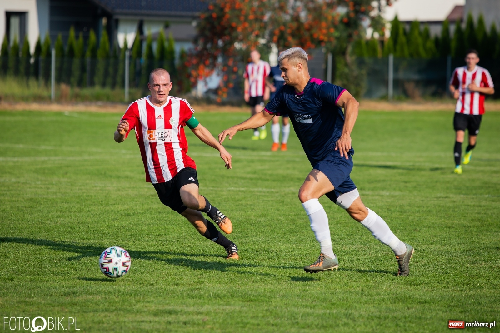 Zdjęcie w galerii na portalu naszraciborz.pl: Gaszowicki Dąb ścięty w Krzyżanowicach [FOTO] wiadomości z regionu