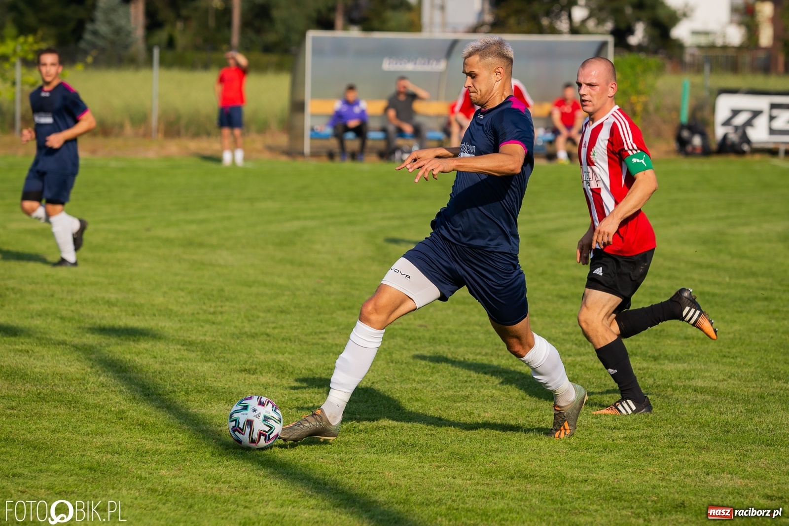 Zdjęcie w galerii na portalu naszraciborz.pl: Gaszowicki Dąb ścięty w Krzyżanowicach [FOTO] wiadomości z regionu