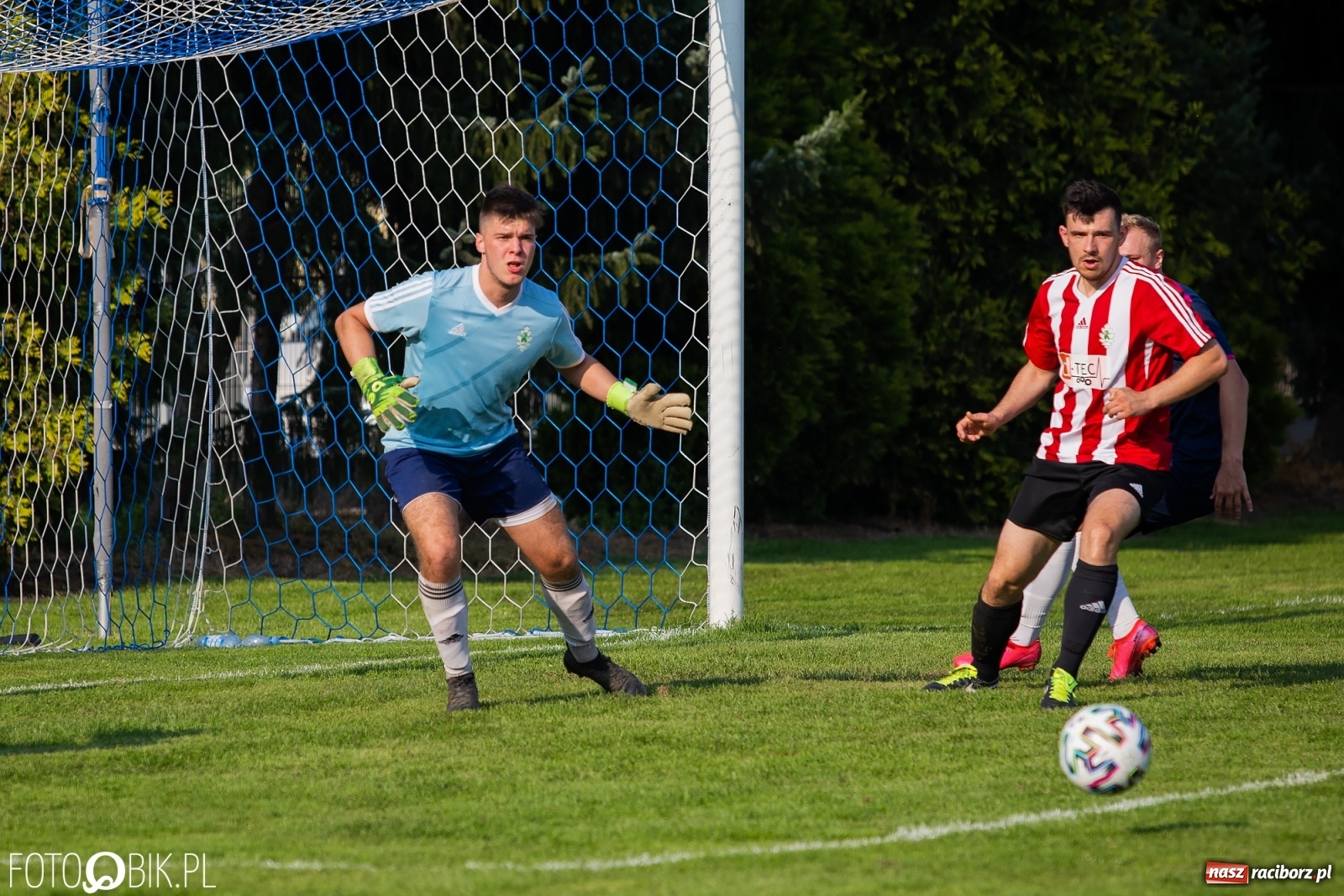 Zdjęcie w galerii na portalu naszraciborz.pl: Gaszowicki Dąb ścięty w Krzyżanowicach [FOTO] wiadomości z regionu