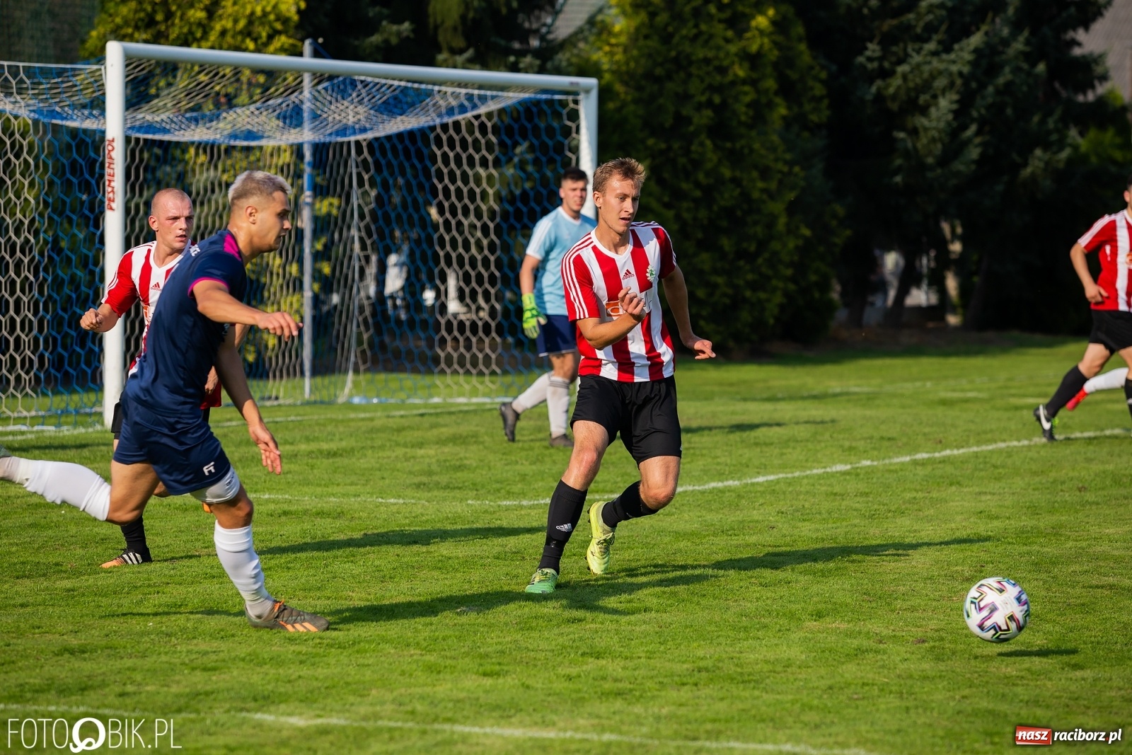 Zdjęcie w galerii na portalu naszraciborz.pl: Gaszowicki Dąb ścięty w Krzyżanowicach [FOTO] wiadomości z regionu