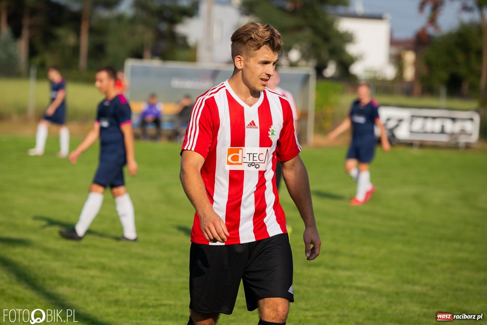 Zdjęcie w galerii na portalu naszraciborz.pl: Gaszowicki Dąb ścięty w Krzyżanowicach [FOTO] wiadomości z regionu