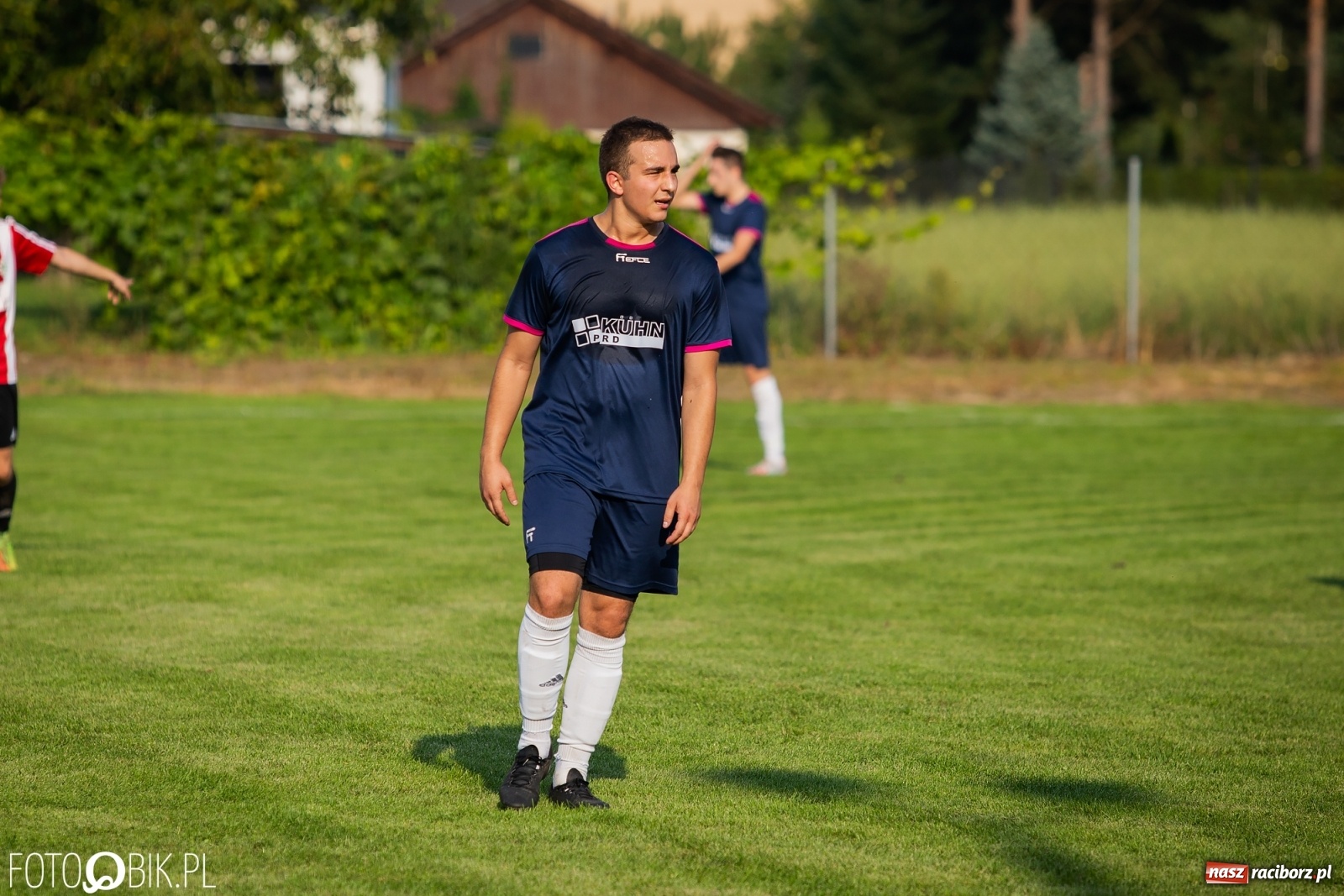 Zdjęcie w galerii na portalu naszraciborz.pl: Gaszowicki Dąb ścięty w Krzyżanowicach [FOTO] wiadomości z regionu