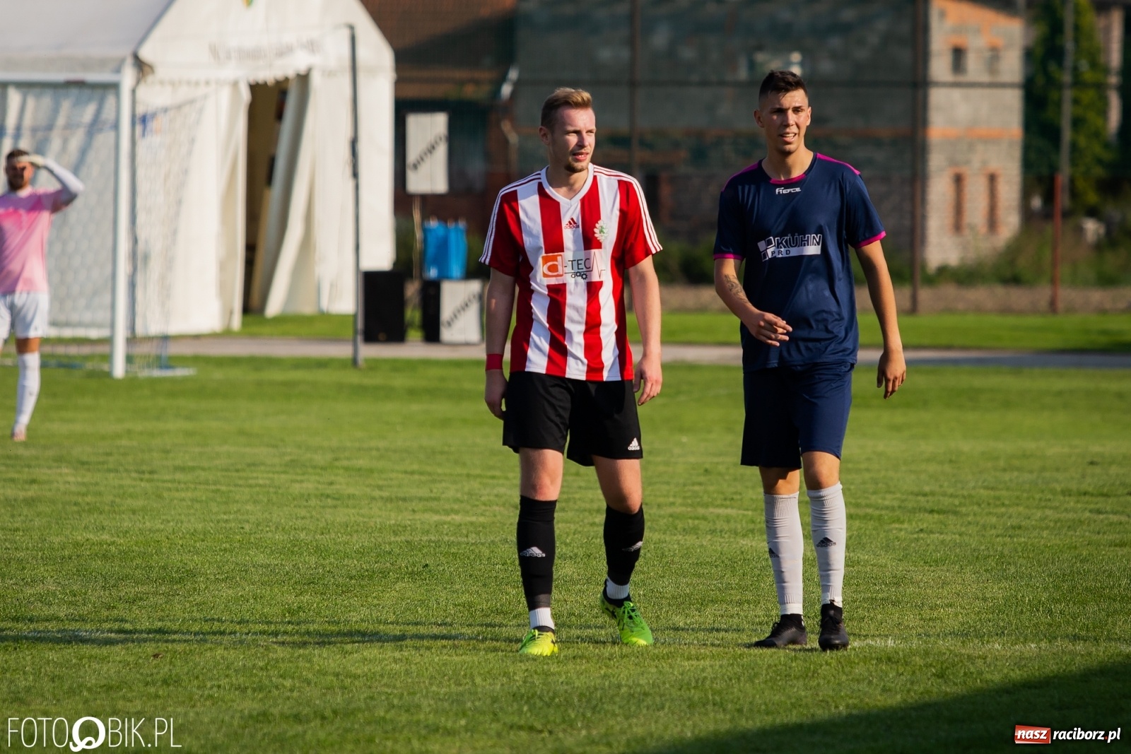 Zdjęcie w galerii na portalu naszraciborz.pl: Gaszowicki Dąb ścięty w Krzyżanowicach [FOTO] wiadomości z regionu