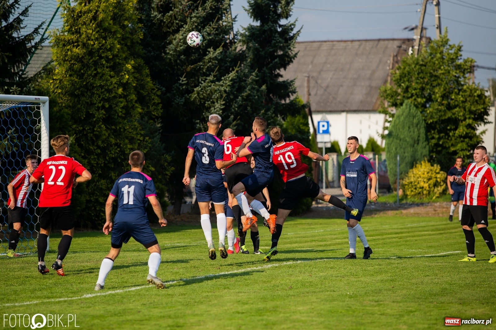 Zdjęcie w galerii na portalu naszraciborz.pl: Gaszowicki Dąb ścięty w Krzyżanowicach [FOTO] wiadomości z regionu