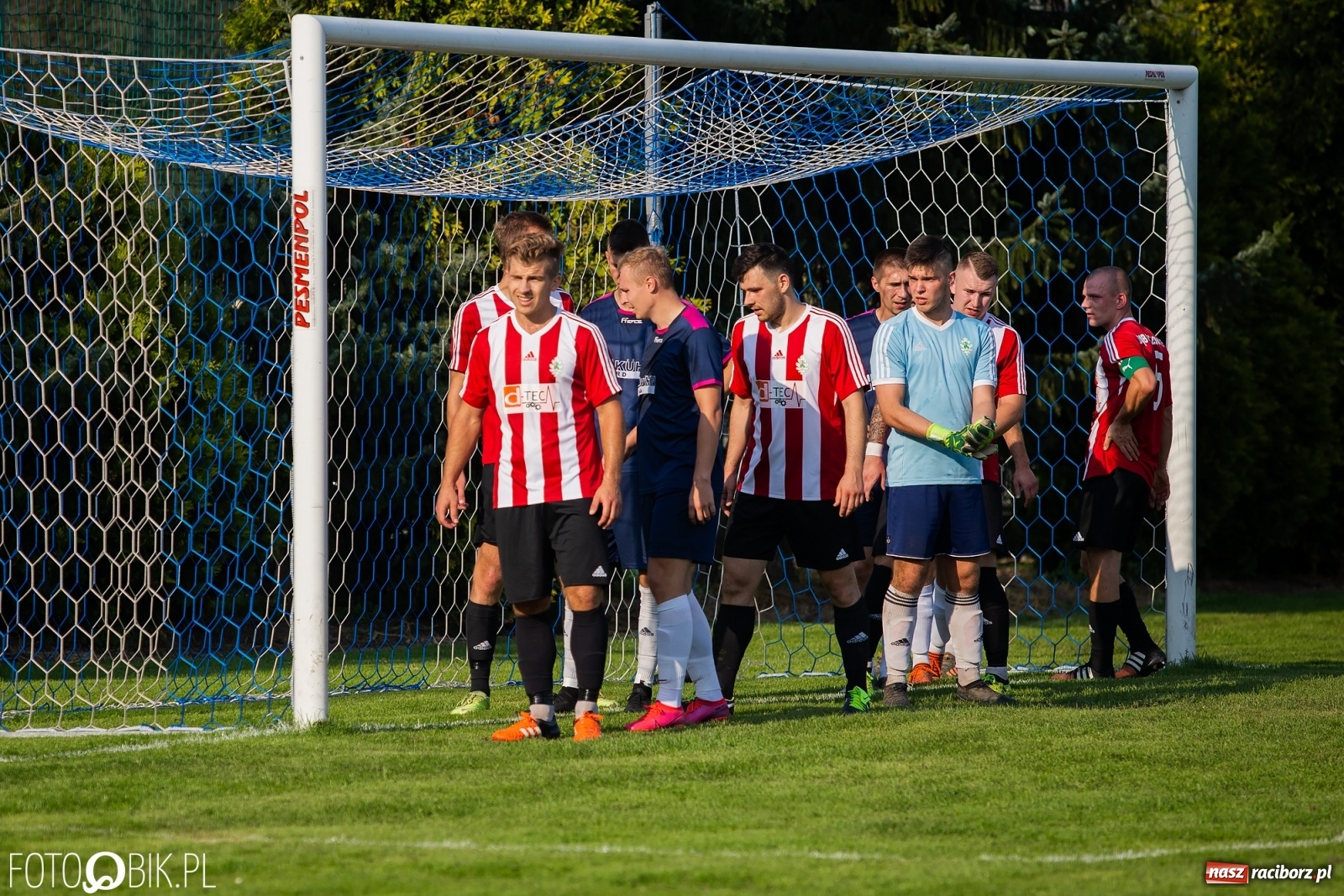 Zdjęcie w galerii na portalu naszraciborz.pl: Gaszowicki Dąb ścięty w Krzyżanowicach [FOTO] wiadomości z regionu