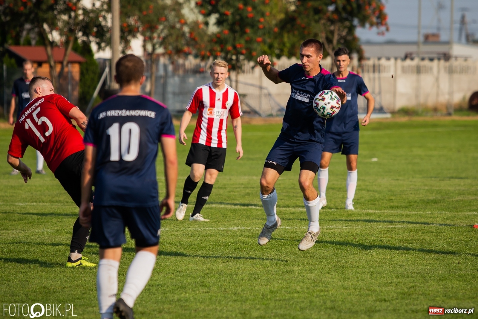 Zdjęcie w galerii na portalu naszraciborz.pl: Gaszowicki Dąb ścięty w Krzyżanowicach [FOTO] wiadomości z regionu