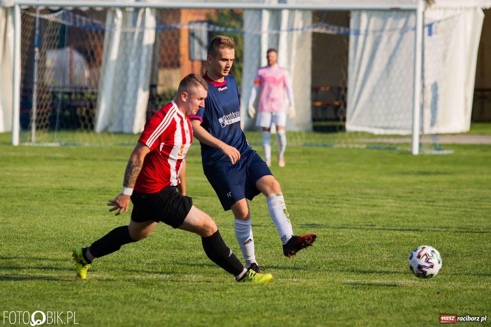 Zdjęcie w galerii na portalu naszraciborz.pl: Gaszowicki Dąb ścięty w Krzyżanowicach [FOTO] wiadomości z regionu