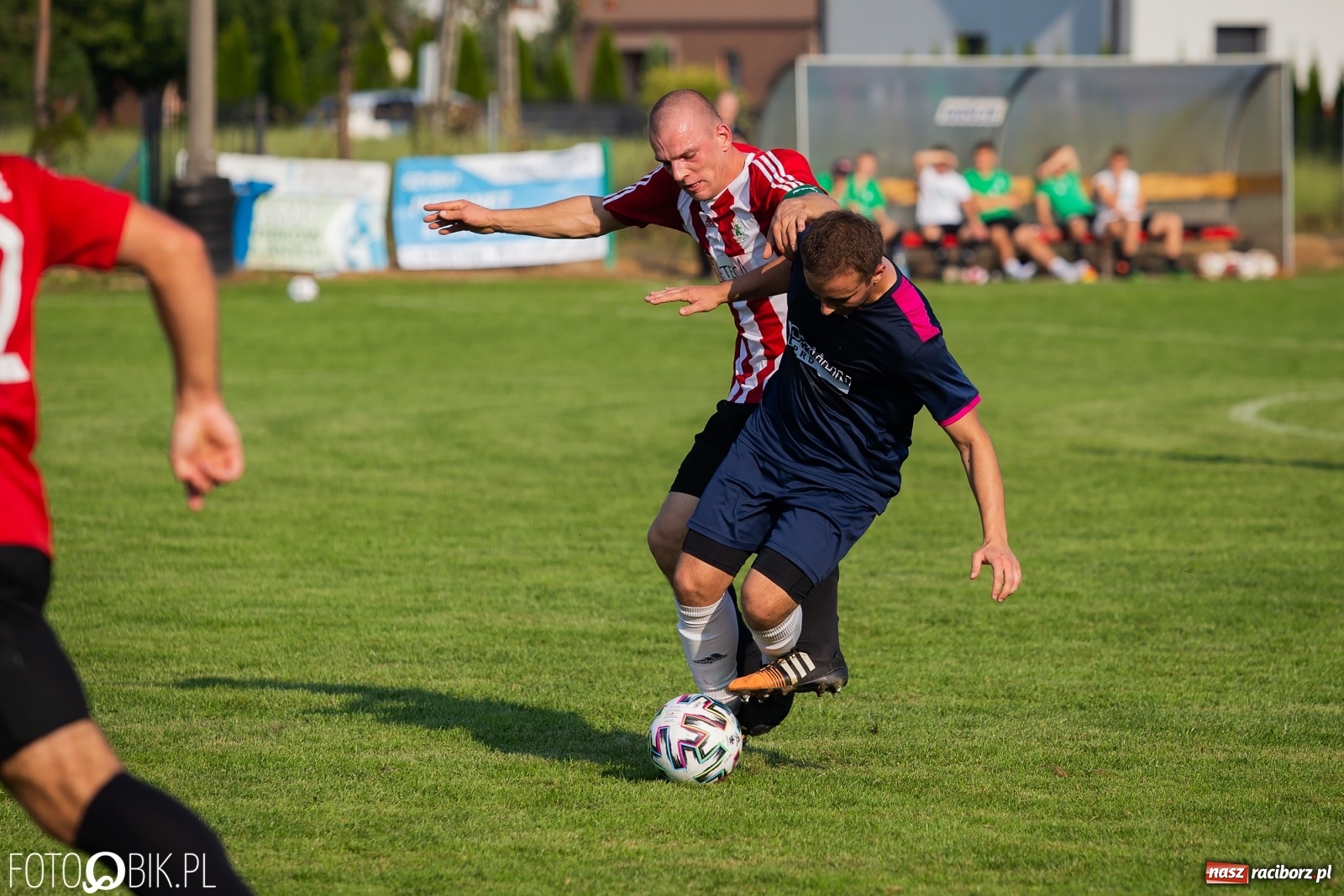 Zdjęcie w galerii na portalu naszraciborz.pl: Gaszowicki Dąb ścięty w Krzyżanowicach [FOTO] wiadomości z regionu