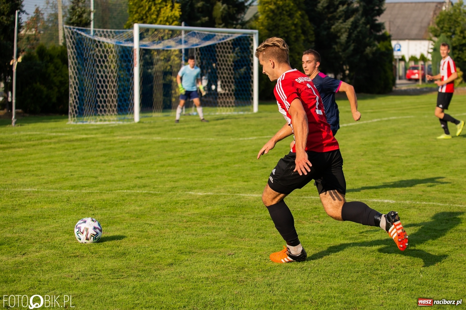 Zdjęcie w galerii na portalu naszraciborz.pl: Gaszowicki Dąb ścięty w Krzyżanowicach [FOTO] wiadomości z regionu