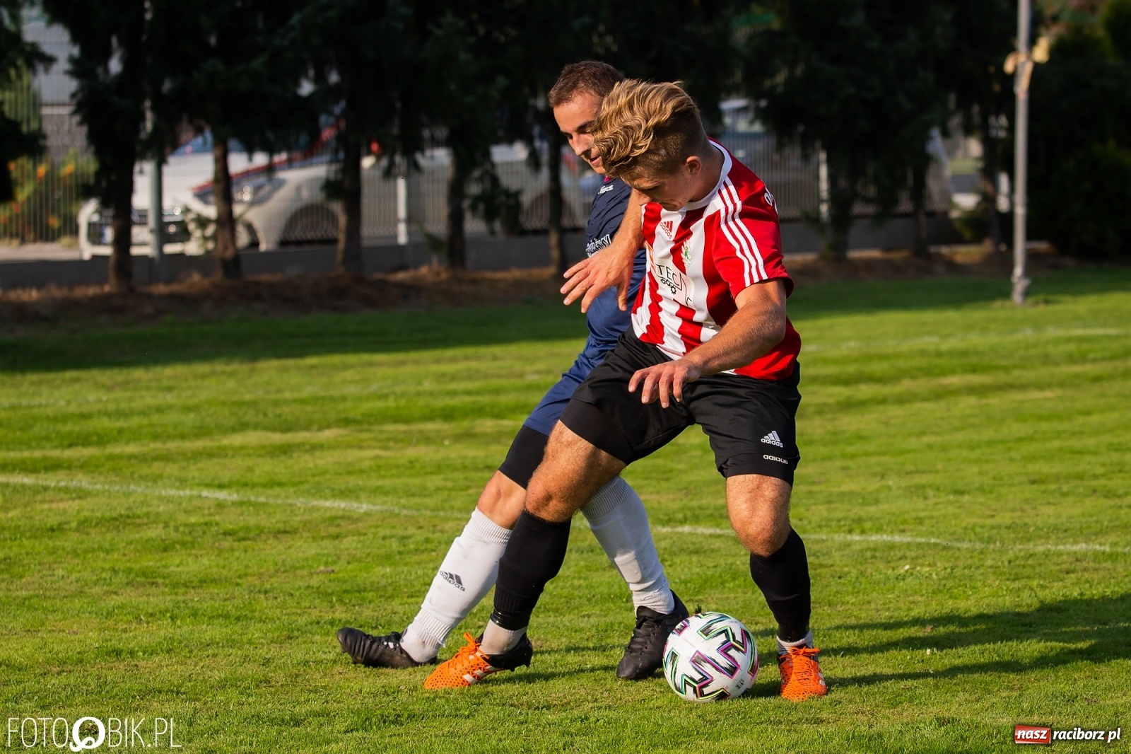 Zdjęcie w galerii na portalu naszraciborz.pl: Gaszowicki Dąb ścięty w Krzyżanowicach [FOTO] wiadomości z regionu
