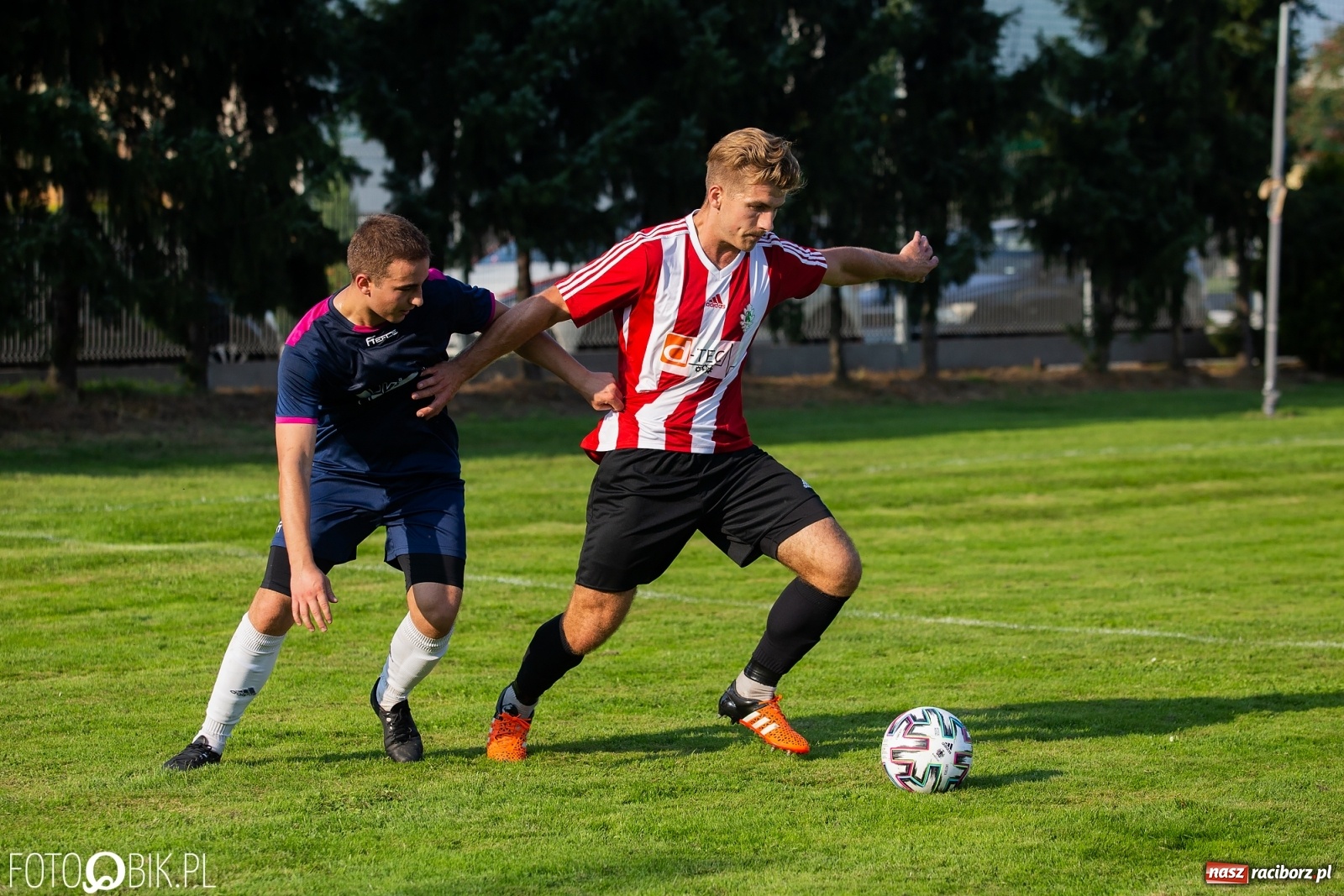 Zdjęcie w galerii na portalu naszraciborz.pl: Gaszowicki Dąb ścięty w Krzyżanowicach [FOTO] wiadomości z regionu