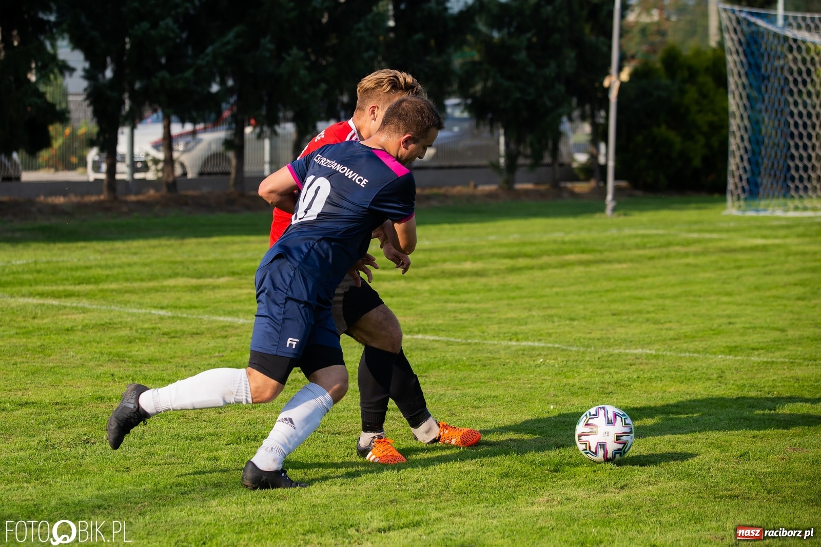 Zdjęcie w galerii na portalu naszraciborz.pl: Gaszowicki Dąb ścięty w Krzyżanowicach [FOTO] wiadomości z regionu