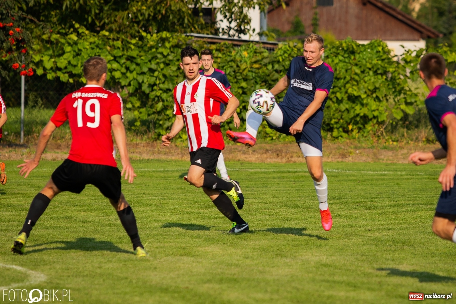 Zdjęcie w galerii na portalu naszraciborz.pl: Gaszowicki Dąb ścięty w Krzyżanowicach [FOTO] wiadomości z regionu