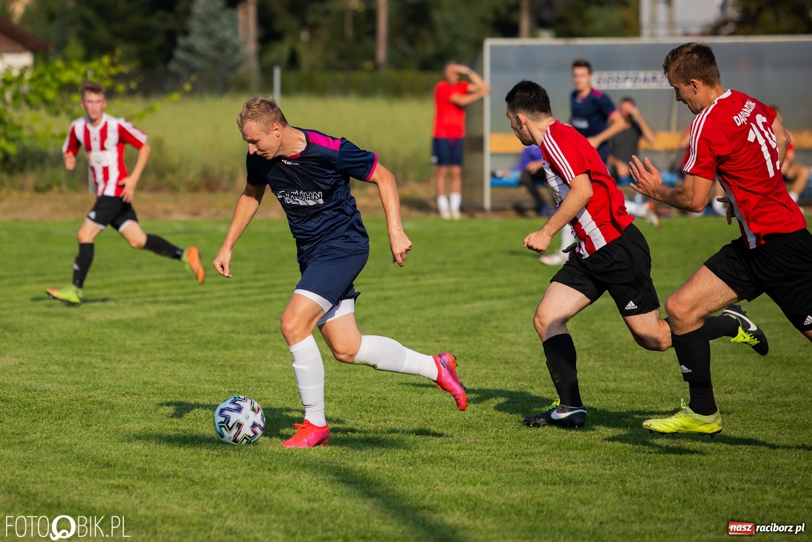Zdjęcie w galerii na portalu naszraciborz.pl: Gaszowicki Dąb ścięty w Krzyżanowicach [FOTO] wiadomości z regionu