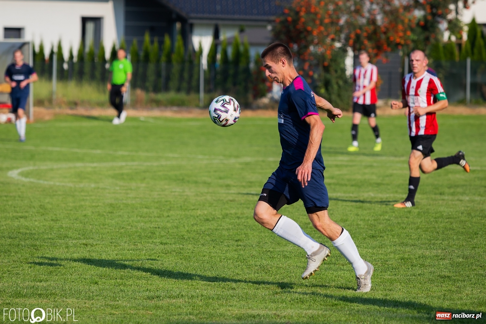 Zdjęcie w galerii na portalu naszraciborz.pl: Gaszowicki Dąb ścięty w Krzyżanowicach [FOTO] wiadomości z regionu