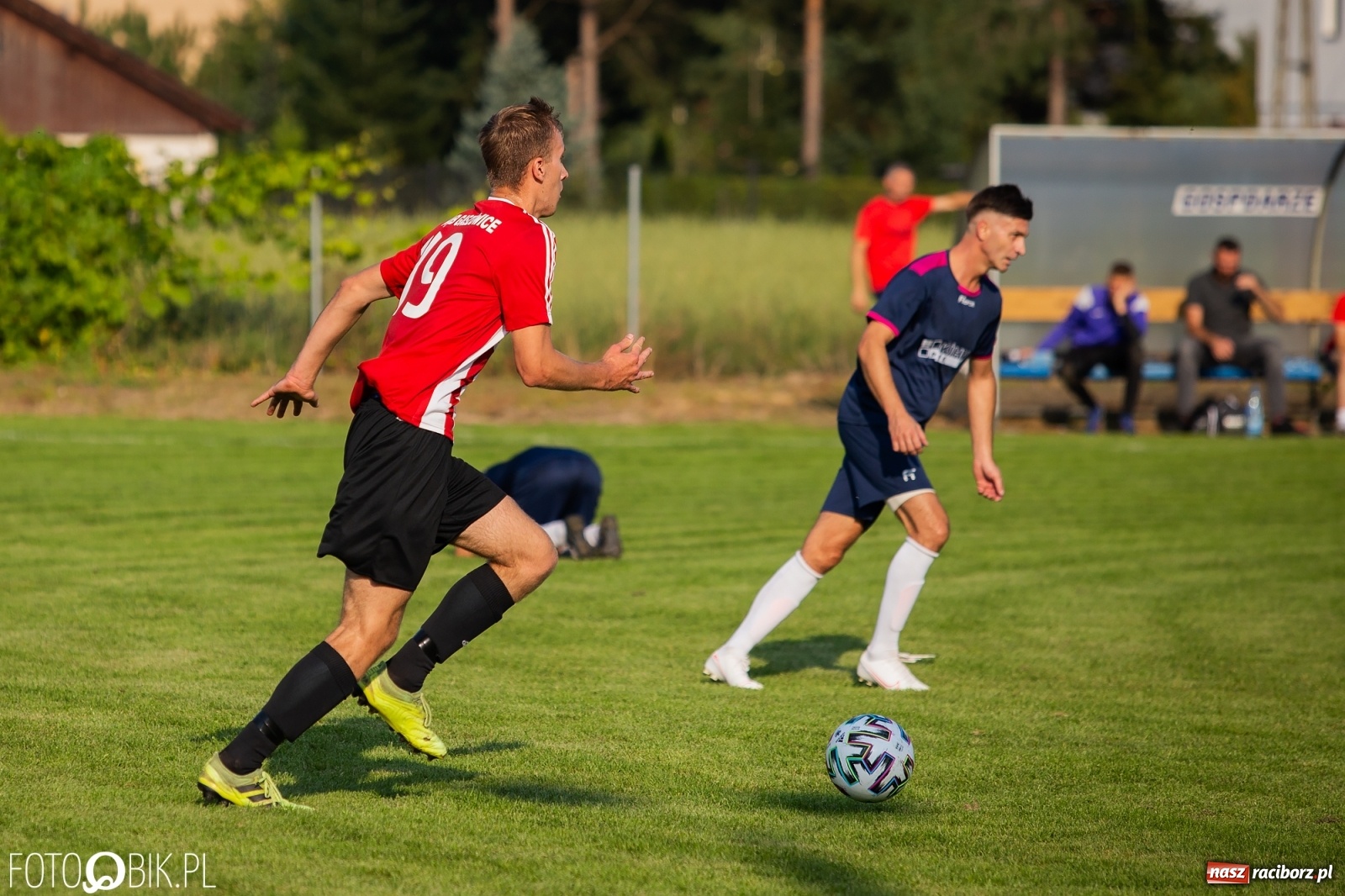 Zdjęcie w galerii na portalu naszraciborz.pl: Gaszowicki Dąb ścięty w Krzyżanowicach [FOTO] wiadomości z regionu