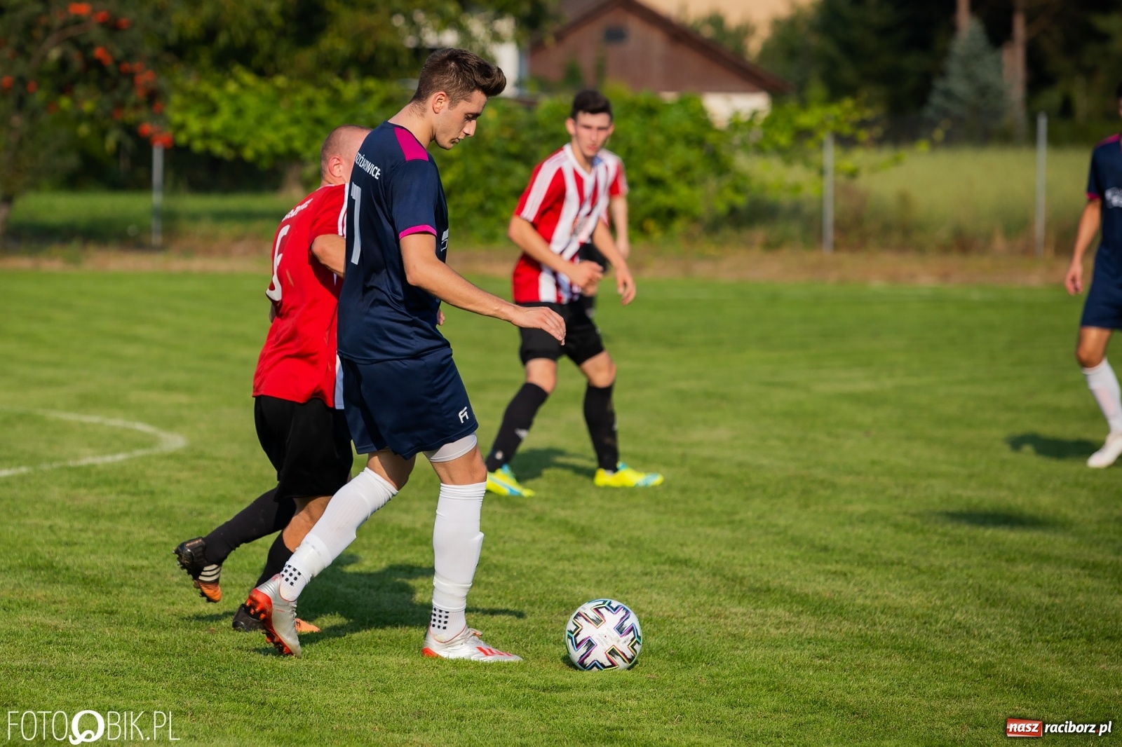 Zdjęcie w galerii na portalu naszraciborz.pl: Gaszowicki Dąb ścięty w Krzyżanowicach [FOTO] wiadomości z regionu