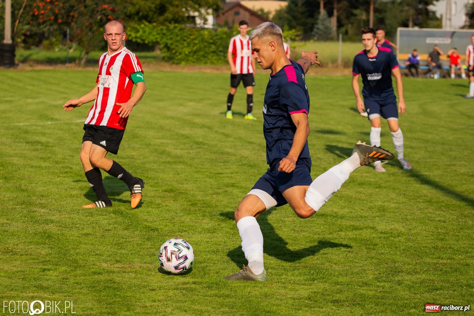 Zdjęcie w galerii na portalu naszraciborz.pl: Gaszowicki Dąb ścięty w Krzyżanowicach [FOTO] wiadomości z regionu