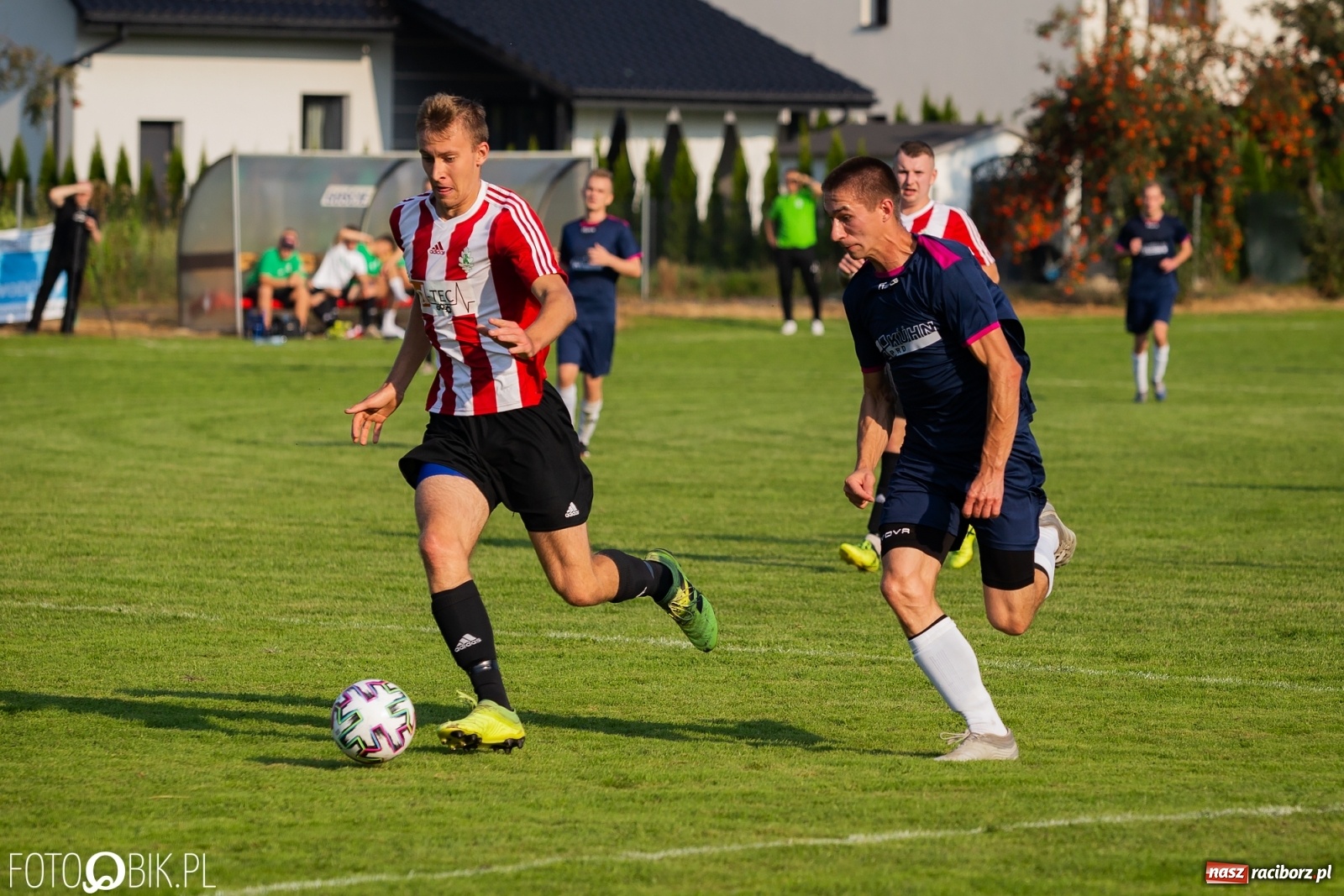 Zdjęcie w galerii na portalu naszraciborz.pl: Gaszowicki Dąb ścięty w Krzyżanowicach [FOTO] wiadomości z regionu