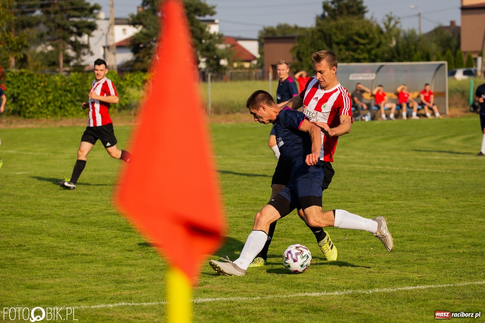 Zdjęcie w galerii na portalu naszraciborz.pl: Gaszowicki Dąb ścięty w Krzyżanowicach [FOTO] wiadomości z regionu