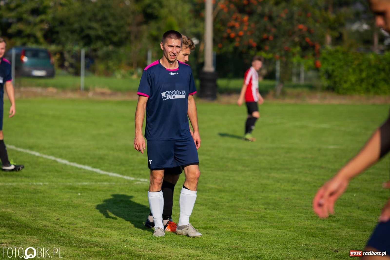 Zdjęcie w galerii na portalu naszraciborz.pl: Gaszowicki Dąb ścięty w Krzyżanowicach [FOTO] wiadomości z regionu